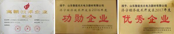祝贺山东鲁能光大电力器材荣膺2021年度 “电力金具十大品牌”!(图3) 祝贺山东鲁能光大电力器材荣膺2021年度 “电力金具十大品牌”!(图3)