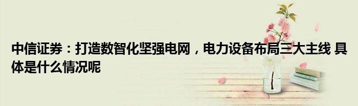 中信证券:打造数智化坚强电网电力设备布局三大主线 具体是什么情况呢