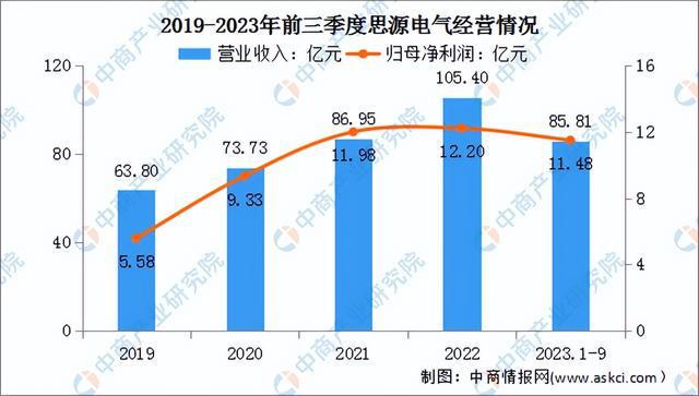 2024年中国特高压行业市场前景预测研究报告（简版）(图12)