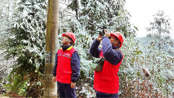 国网重庆垫江供电公司:雪后特巡确保供电可靠