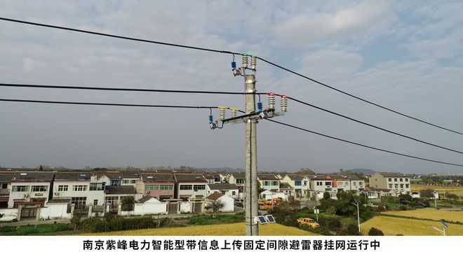 南京紫峰电力设备有限公司荣获“防雷设备十大品牌”荣誉称号(图3) 南京紫峰电力设备有限公司荣获“防雷设备十大品牌”荣誉称号(图3)