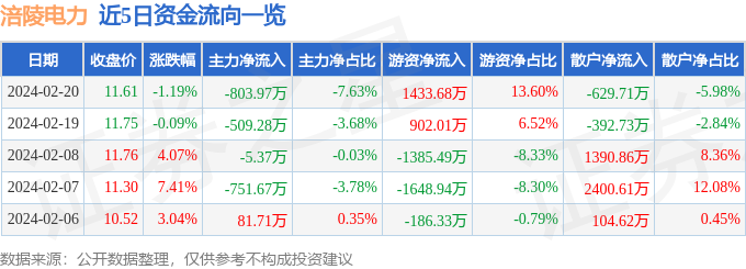 涪陵电力(600452)2月20日主力资金净卖出80397万元