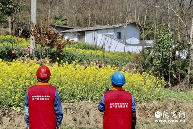 国网宁强供电公司：油菜花开盛开季电力基建正当时