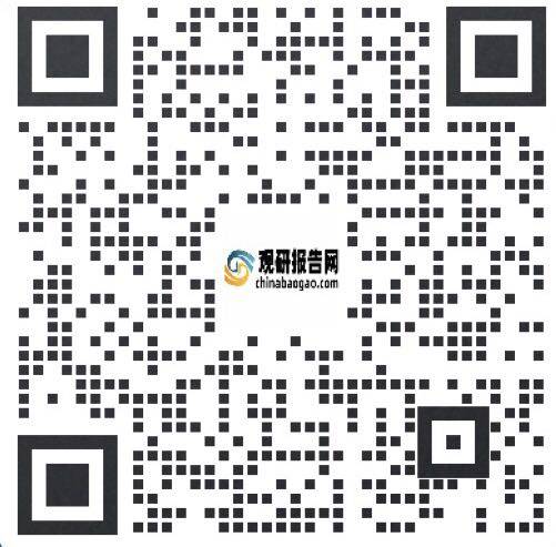中国电力行业现状深度研究与发展前景分析报告(2024-2031年)