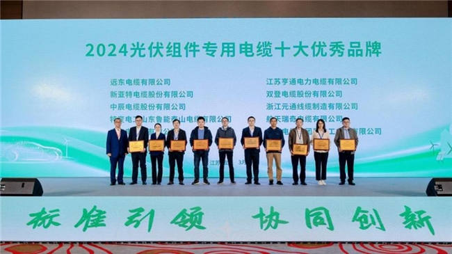 “2024新能源用电缆产业高质量发展论坛暨《新能源用电缆设计与采购手册》终审会”隆重召开(图13) “2024新能源用电缆产业高质量发展论坛暨《新能源用电缆设计与采购手册》终审会”隆重召开(图13)