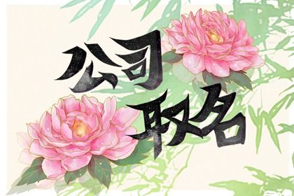 电力公司的名字取什么好 好听又大气的企业起名