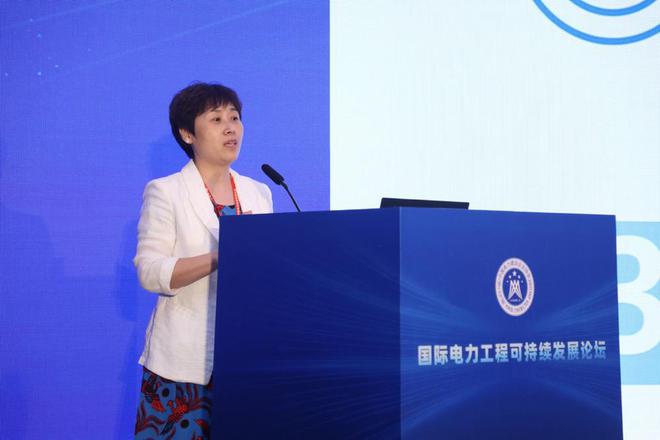 开启国际电力建设高质量发展新征程(图6)