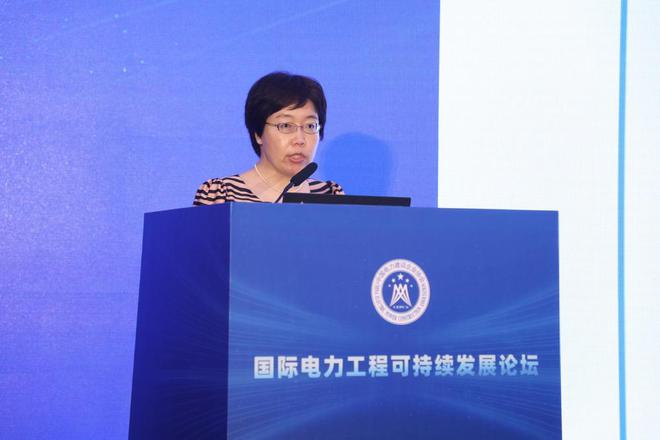 开启国际电力建设高质量发展新征程(图4)