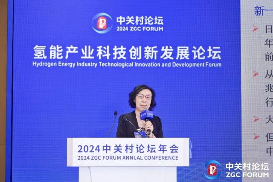 2024中关村论坛“氢能产业科技创新发展论坛”在京圆满召开!(图9)