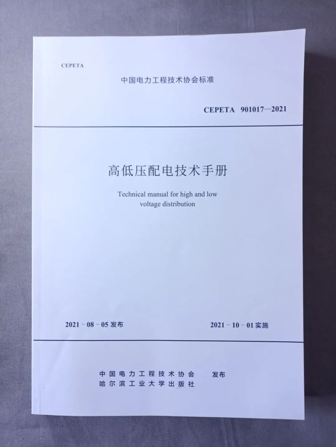 中国电力界的黑白双煞!!电力从业人员都惊呆了!