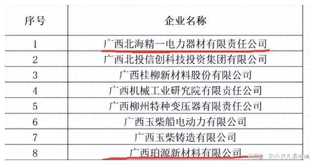 恭喜！广西两家县域企业入选国家级“专精特新”小巨人企业