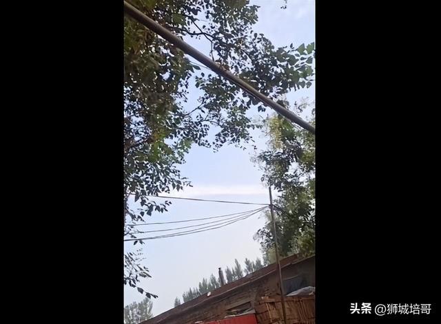 河间这个村子因电线低落“一村民”发生意外