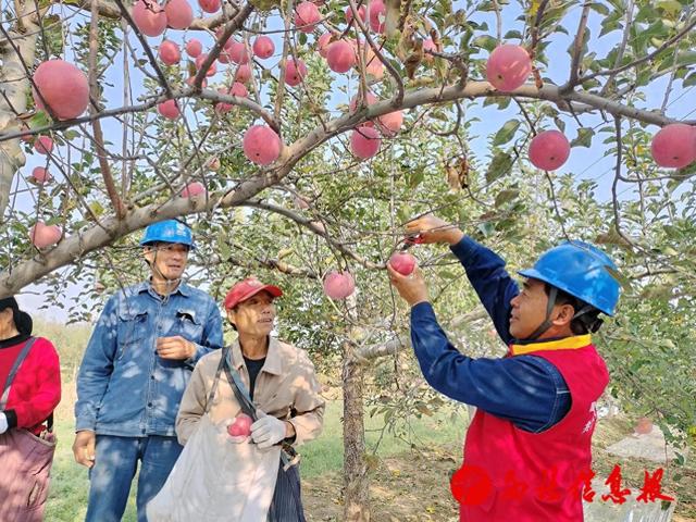 国网渭南供电公司：未雨绸缪抓治理 消除隐患保运行