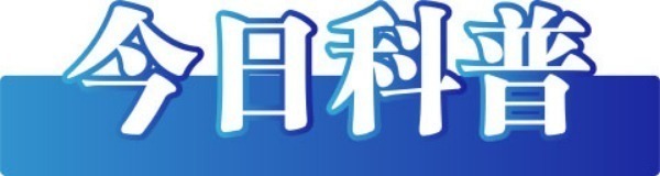 今日辟谣（2024年11月21日）