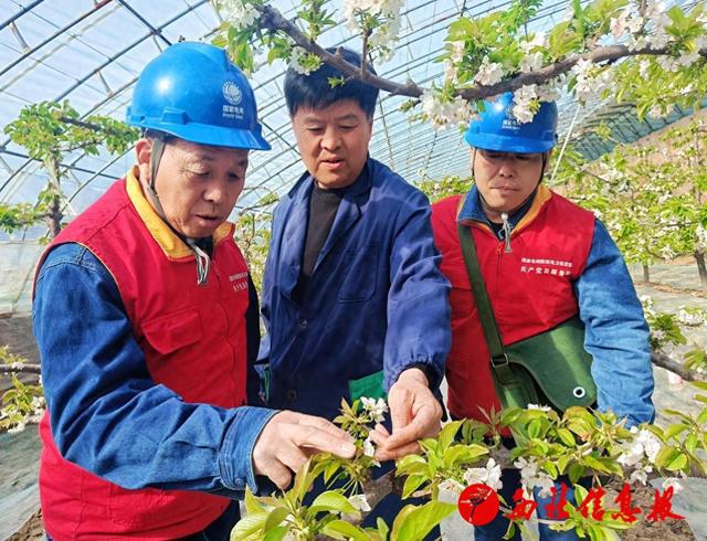 国网渭南供电公司：供电服务进园区 精准“电”亮产业园