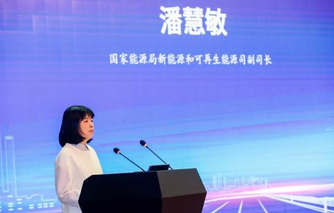中电联乡村振兴电力专业委员会在京成立